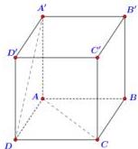 Hình lập phương ABCD.A'B'C'D'