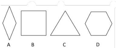 Các hình A, B, C, D