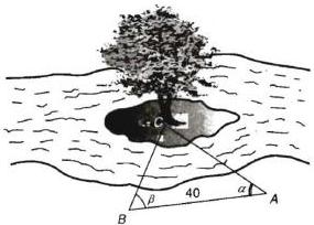Hình vẽ minh họa tam giác ABC với gốc cây C trên cù lao giữa sông và các góc tại A, B