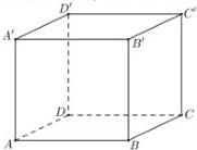 Hình lập phương ABCD.A'B'C'D'
