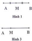 Hình 1 và Hình 2 biểu diễn điểm M trên đoạn thẳng AB