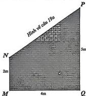 Hình vẽ câu 19a - hình thang vuông MNPQ