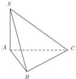 Hình chóp $S.ABC$ có đáy là tam giác vuông tại $A$ và $SA \perp (ABC)$