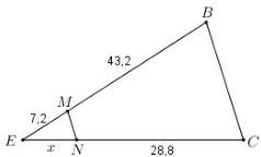 hình vẽ tam giác EBC có MN // BC với EM = 7,2, MB = 43,2, EN = x, NC = 28,8