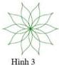 Hình 3 - hoa nhiều cánh