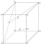 Hình hộp chữ nhật ABCD.A'B'C'D' với các điểm E trên AM, F trên D'I và đường thẳng EF vuông góc với mặt đáy (ABCD)