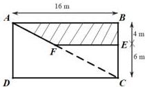 Mảnh đất hình chữ nhật ABCD với bể cá hình thang ABEF (phần gạch sọc), AB = 16 m, BE = 4 m, EC = 6 m