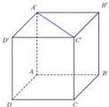 hình hộp ABCD.A'B'C'D' có 6 mặt đều là hình vuông