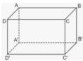 Hình hộp chữ nhật $ABCD.A'B'C'D'$