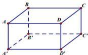 Hình lập phương $ABCD.A'B'C'D'$