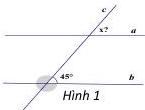 Hình 1
