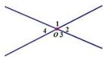 hình vẽ hai đường thẳng cắt nhau tại O tạo thành các góc O1, O2, O3, O4