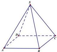 hình chóp tứ giác đều S.ABCD