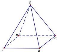 hình chóp tứ giác đều S.ABCD