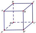 hình lập phương ABCD.A'B'C'D'
