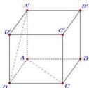 Hình lập phương ABCD.A'B'C'D'