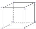 hình lập phương ABCD.A'B'C'D'
