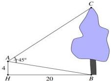 Hình minh họa quan sát cây với các điểm A, H, B, C, AH = 4, HB = 20 và góc BAC = 45°