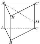 Hình lăng trụ đứng ABC.A'B'C' với điểm M trên CC'