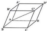 Hình hộp $ABCD.A'B'C'D'$