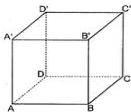 Hình lập phương ABCD.A'B'C'D'