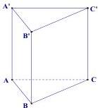 Hình lăng trụ đứng ABC.A'B'C'