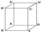 Hình lập phương ABCD.A'B'C'D'