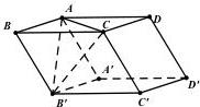 Hình hộp $ABCD.A'B'C'D'$