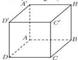 Hình lập phương ABCD.A'B'C'D'