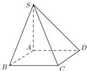 Hình chóp S.ABCD có đáy ABCD là hình chữ nhật