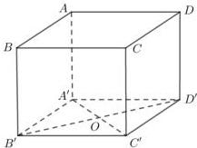 Hình hộp ABCD.A'B'C'D' với A'C' cắt B'D' tại O