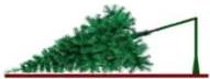 hình minh họa cây bị bão quật gãy đổ xuống mặt đất