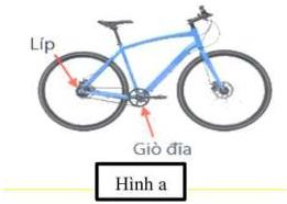 Hình a