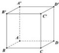Hình lập phương ABCD.A'B'C'D'