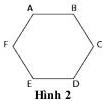 Hình 2 - Hình lục giác đều ABCDEF