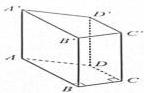 hình lăng trụ đứng tứ giác ABCD.A'B'C'D'