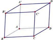 hình hộp $ABCD.A'B'C'D'$