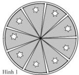 Hình 1