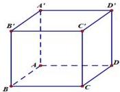 hình lập phương ABCD.A'B'C'D'