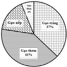 Biểu đồ hình quạt tròn Việt Nam xuất khẩu gạo năm 2021