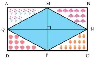 Mảnh vườn hình chữ nhật ABCD với hồ hình thoi MNPQ ở giữa