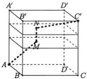 hình hộp chữ nhật ABCD.A'B'C'D' với hai vách ngăn và đường ống gấp khúc A-M-N-C'