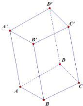 Hình lăng trụ tứ giác ABCD.A'B'C'D'