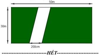 Khu vườn hình chữ nhật kích thước 50m x 30m có lối đi hình bình hành rộng 200cm