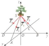 Mô hình giá đỡ bốn chân với chậu cây tại điểm S và các vectơ lực $\overrightarrow{F_1}, \overrightarrow{F_2}, \overrightarrow{F_3}, \overrightarrow{F_4}$ dọc theo các chân đỡ