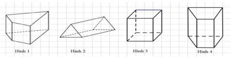 Bốn hình lăng trụ đứng Hình 1, Hình 2, Hình 3, Hình 4 trên lưới ô vuông