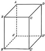 Hình lăng trụ đứng ABCD.A'B'C'D'