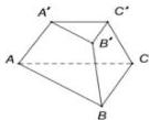 Hình chóp cụt đều ABC.A'B'C'