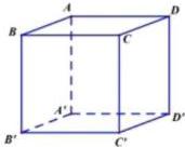 Hình lập phương $ABCDA'B'C'D'$