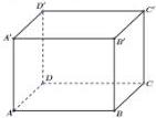 Hình hộp $ABCD.A'B'C'D'$